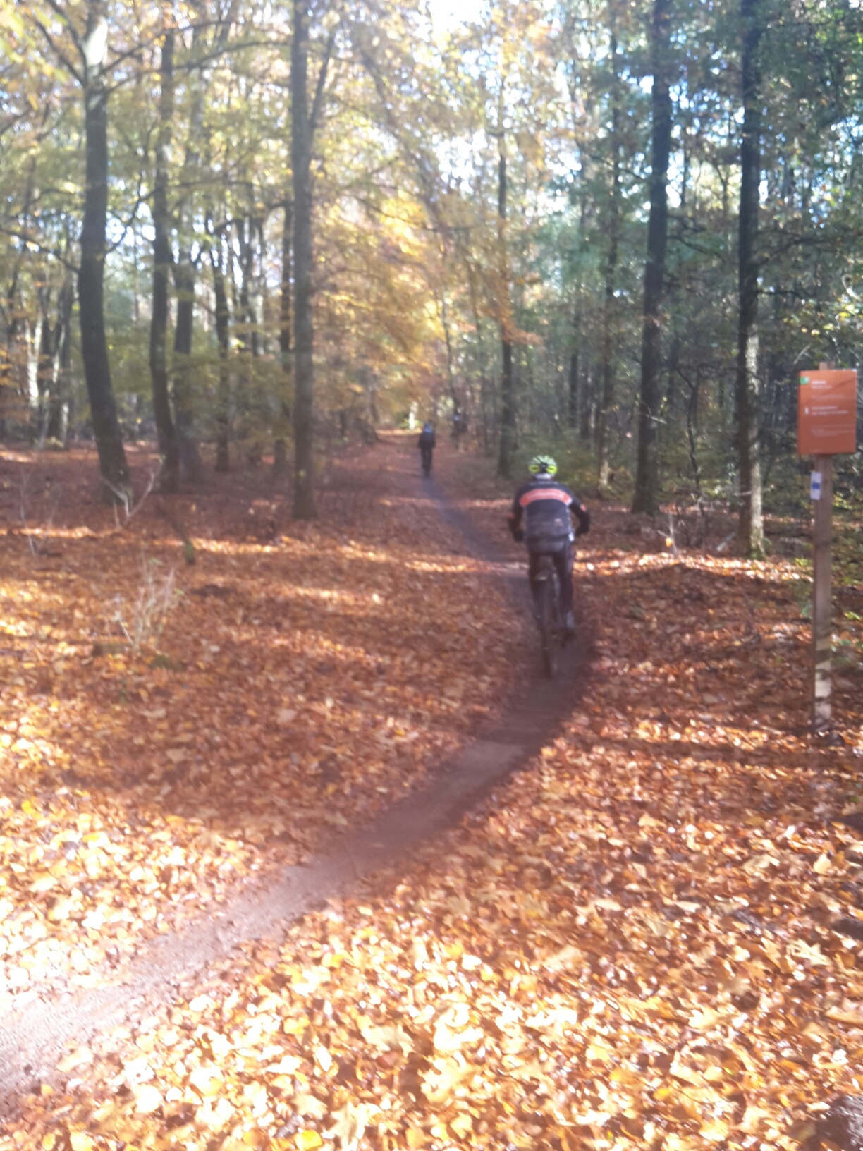 Je bekijkt nu MTB Nunspeet