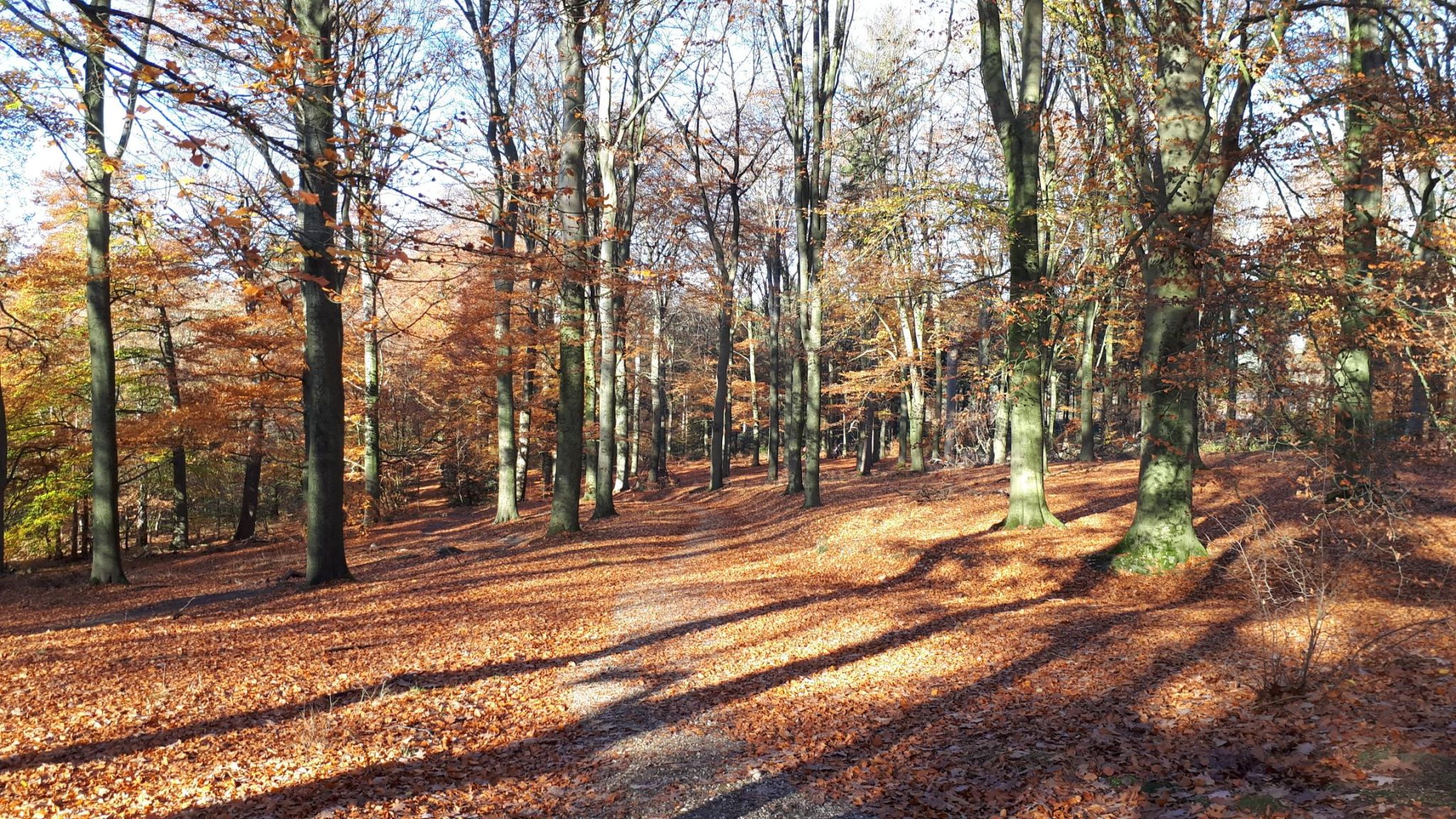 Je bekijkt nu MTB clinics succes