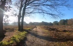 WTC MTB op de film