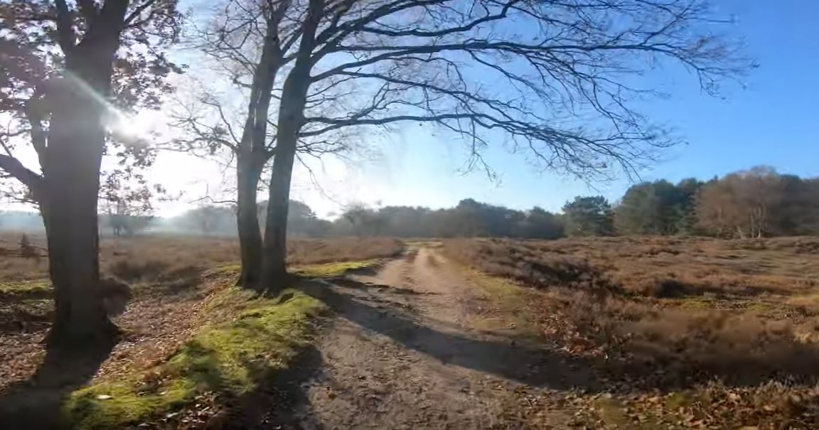 Je bekijkt nu WTC MTB op de film