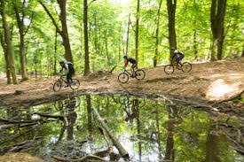 Lees meer over het artikel MTB-ers het grote kwaad?